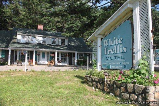 White Trellis Motel North Conway Esterno foto