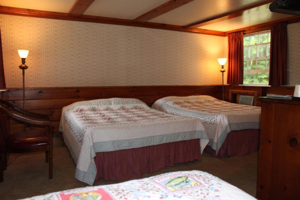 White Trellis Motel North Conway Camera foto