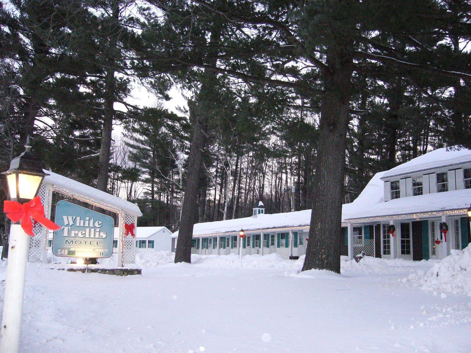 White Trellis Motel North Conway Esterno foto