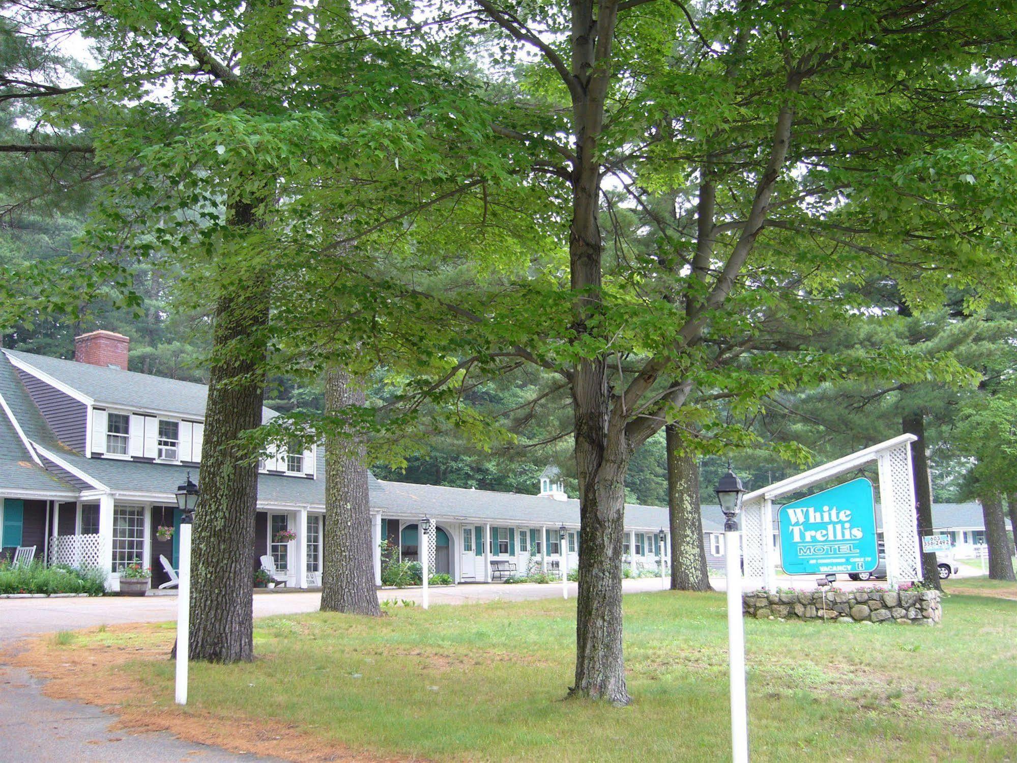 White Trellis Motel North Conway Esterno foto
