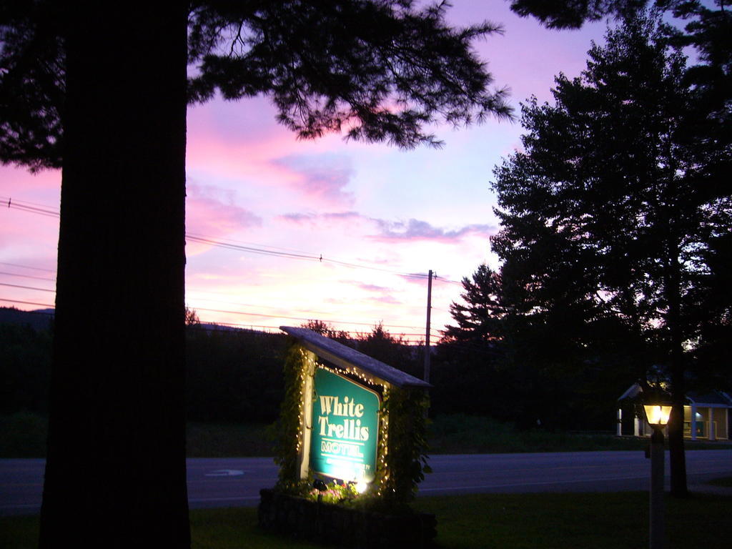 White Trellis Motel North Conway Esterno foto